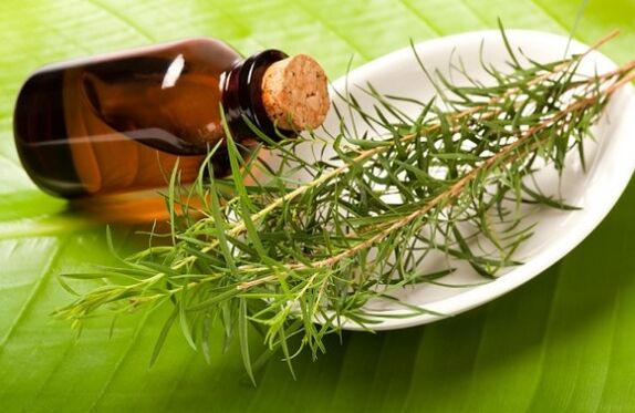 Tea oil