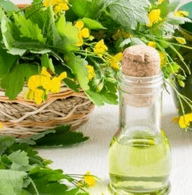 The test in the fight against fungus